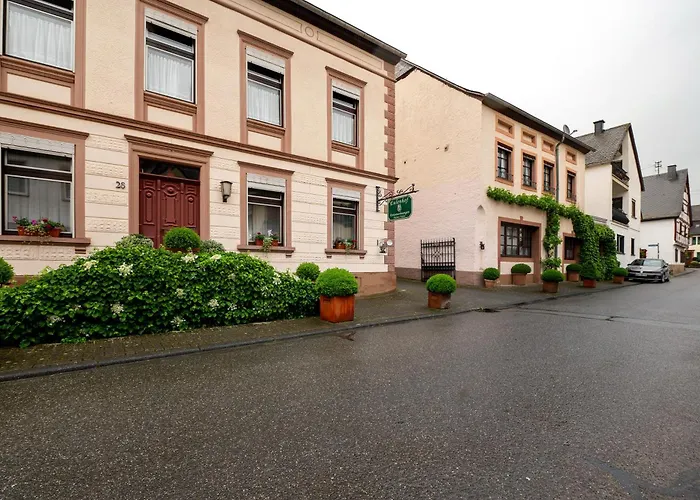 Eulennest 1 * Minheim